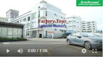 Fábrica de baterias de lítio EverExceed